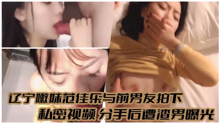 SSX-635 辽宁嫩妹范佳乐与前男友拍下私密视频分手后遭渣男曝光